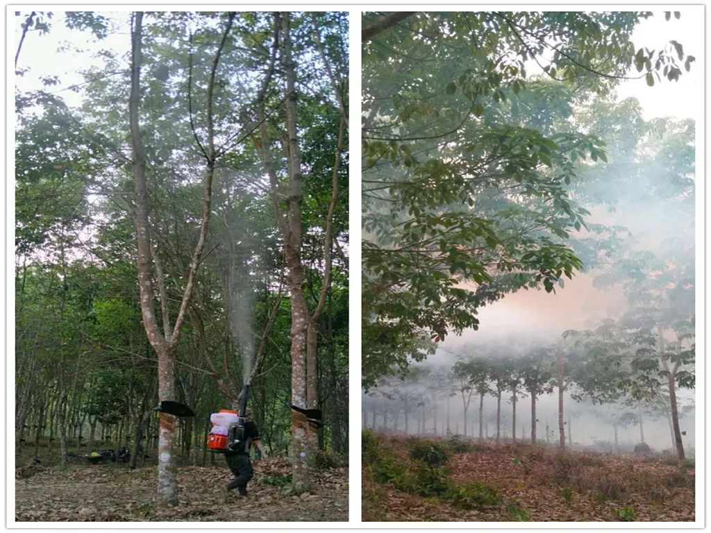 1675392944896093519.png image.png