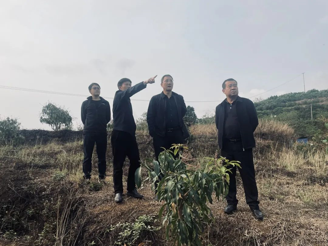 1679273941171048069.png image.png