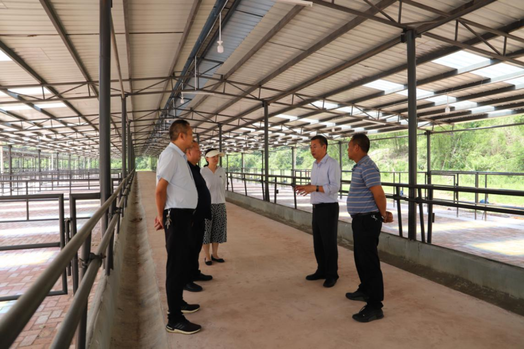 1685344575580013527.png image.png