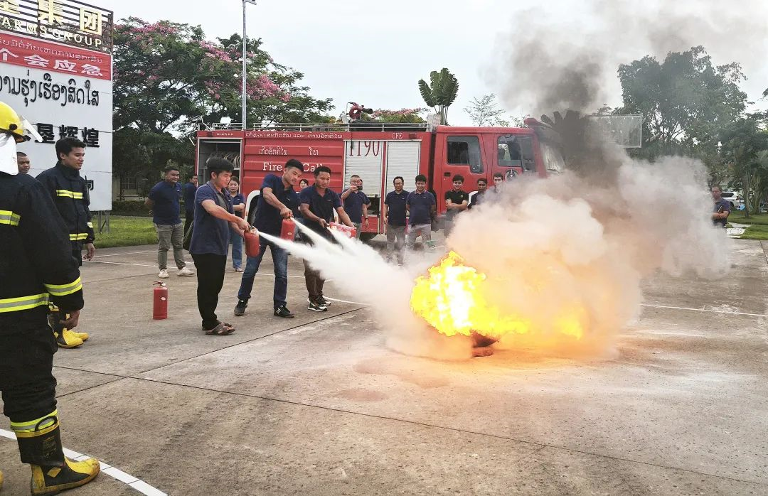 1686642186839050418.png image.png