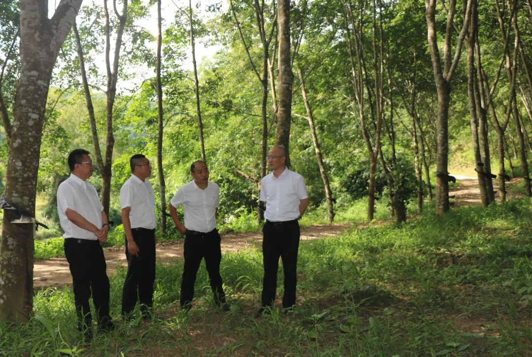 1686642550966029036.png image.png