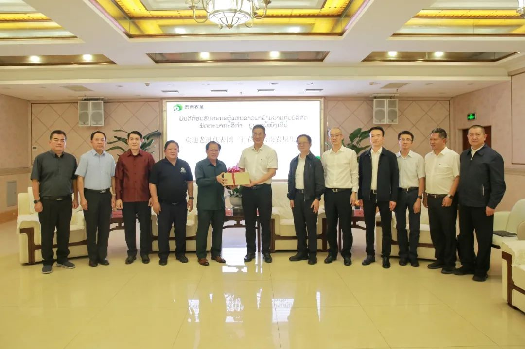 1695196480395026331.png image.png