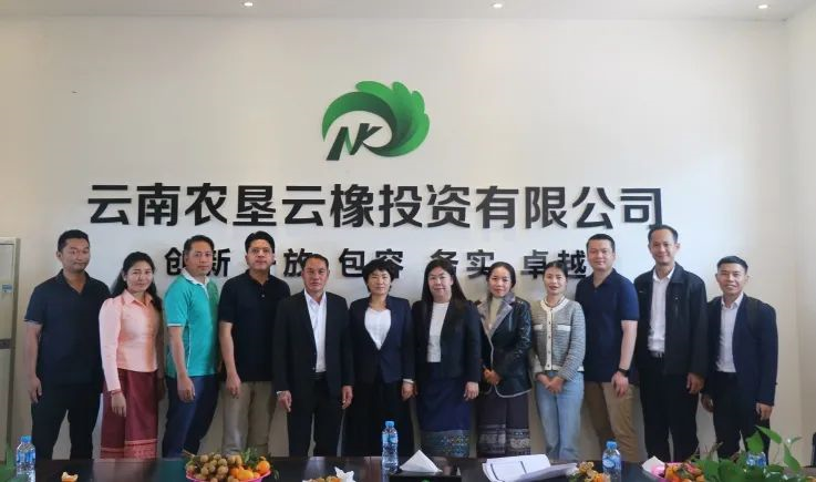 1701333221674053649.png image.png