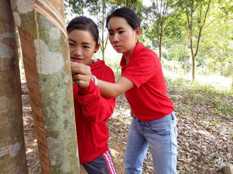 1702371836729055030.png image.png