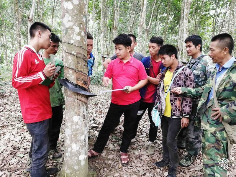 1702371895289091363.png image.png