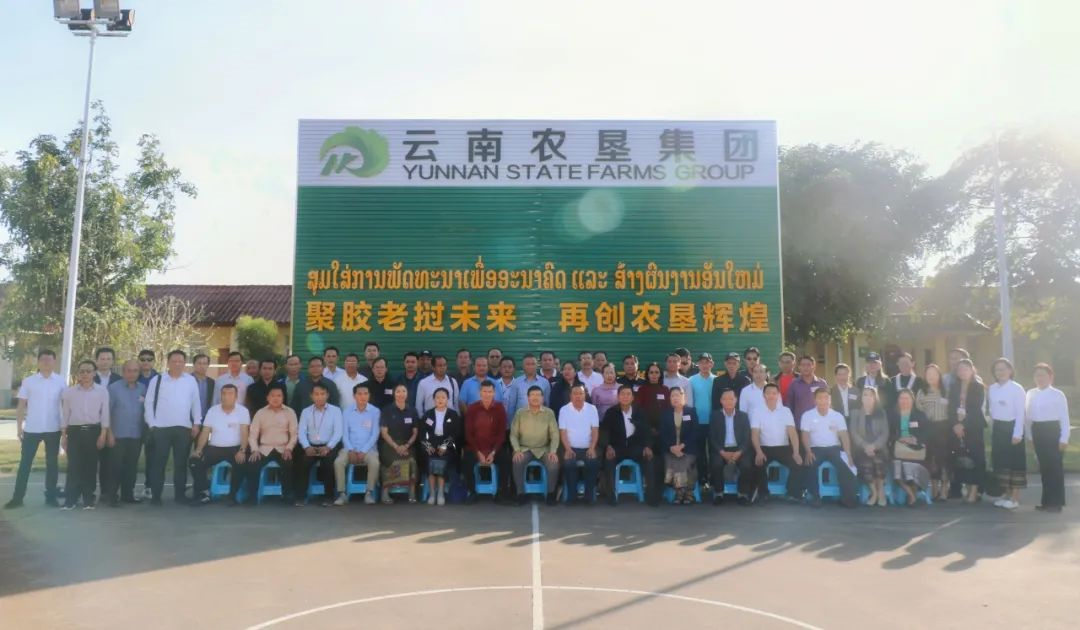 1703236419392045345.png image.png